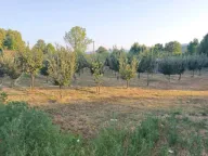 Sale, land lot, 3800m², Martinići, Danilovgrad - image 4