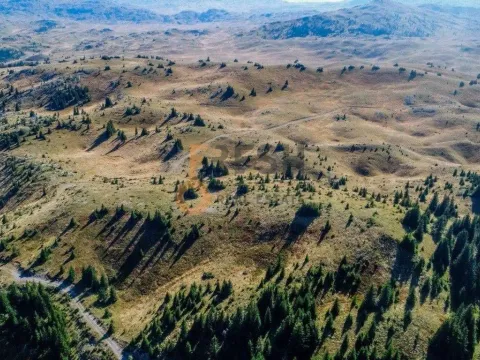 Prodaja, plac, 184880m², Žabljak, Crna Gora - image 9