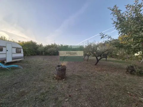 Prodaja, plac, 27920m², Siokovac, Jagodina - image 23