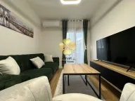 Izdavanje, jednosoban stan, 40m², Central Point, Podgorica - image 2