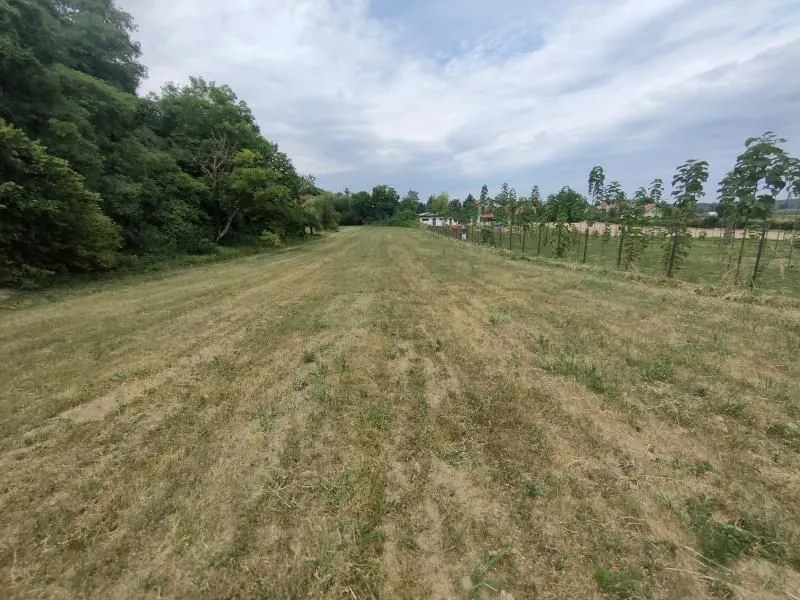 Prodaja, plac, 2300m², Beočin, Srbija