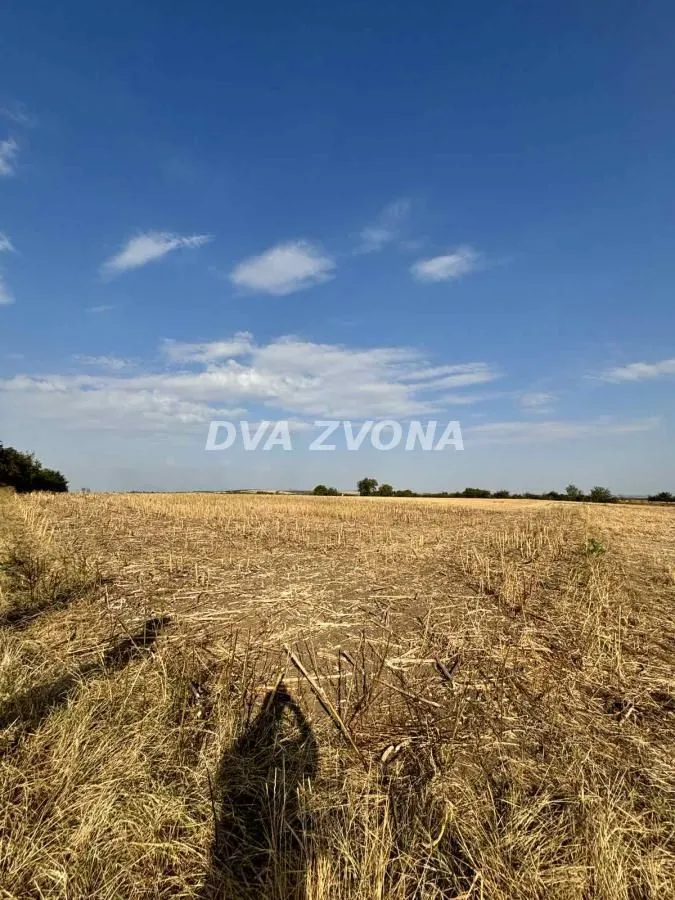 Prodaja, plac, 3600m², Čortanovci, Inđija