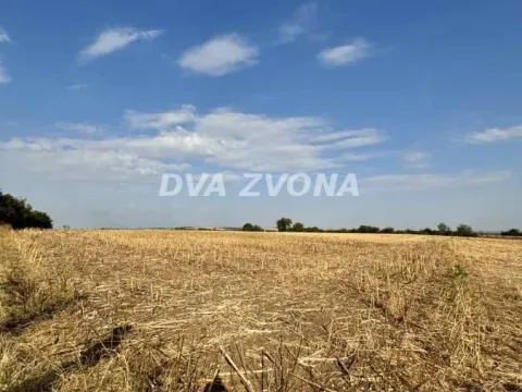 Prodaja, plac, 3600m², Čortanovci, Inđija - image 3