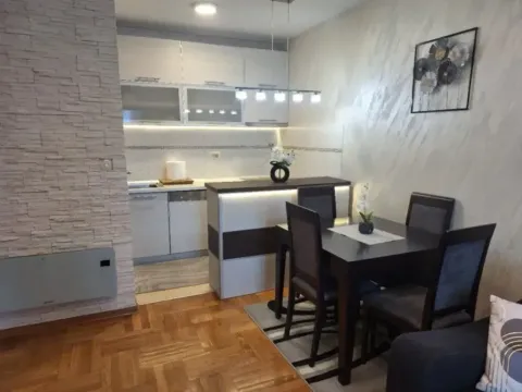 Izdavanje, jednosoban stan, 45m², Stari Aerodrom, Podgorica - image 7
