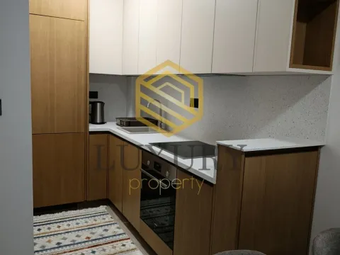 Rent, one bedroom apartment, 45m², Vezirov Most, Podgorica - image 3