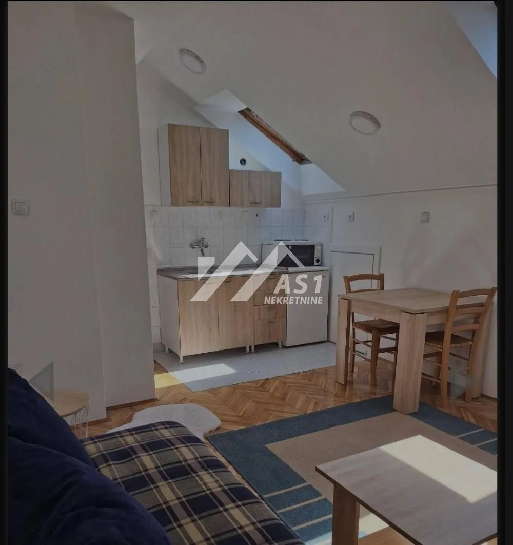 Izdavanje, stan, 21m², Bulevar Oslobodjenja, Novi Sad Sve Podlokacije