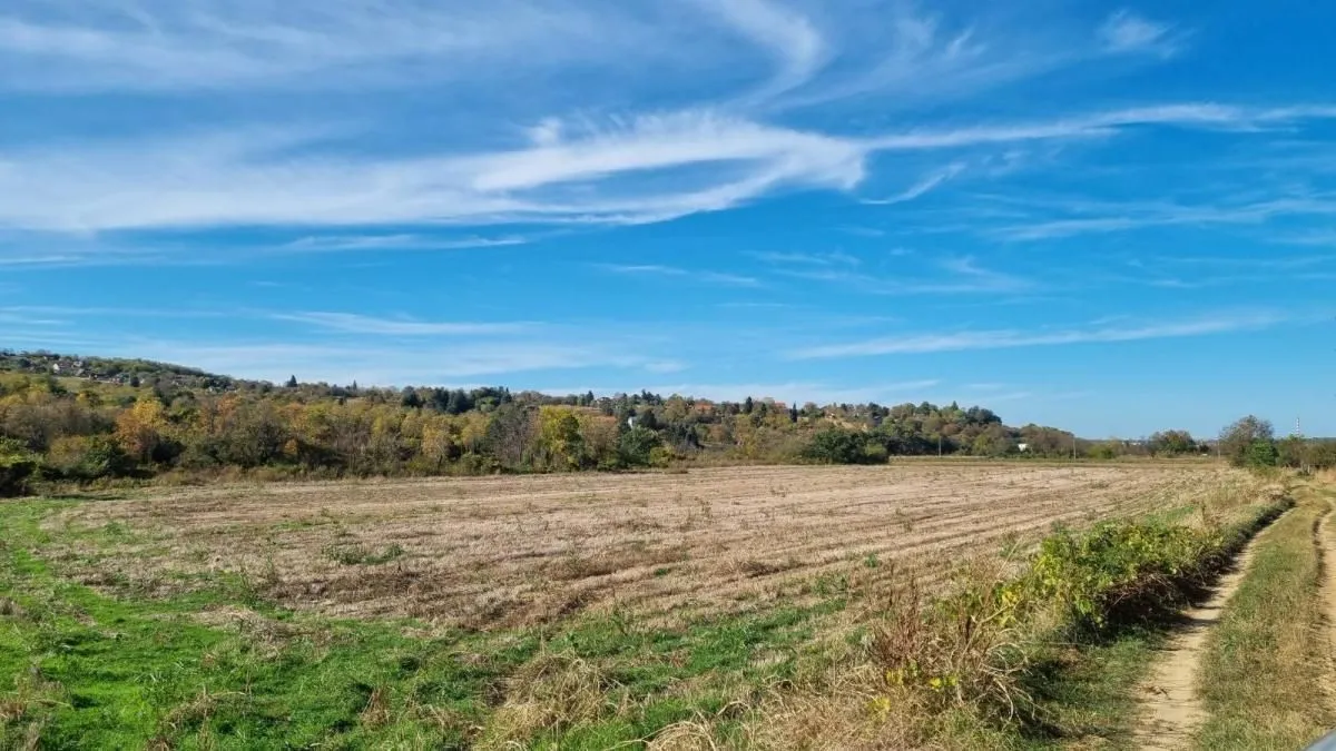 Prodaja, plac, 234m², Sremski Karlovci, Novi Sad