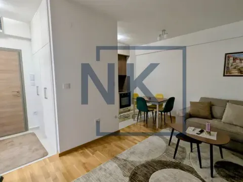 Izdavanje, jednosoban stan, 42m², Zabjelo, Podgorica - image 11