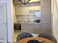 Izdavanje, jednosoban stan, 49m², Central Point, Podgorica - image 2