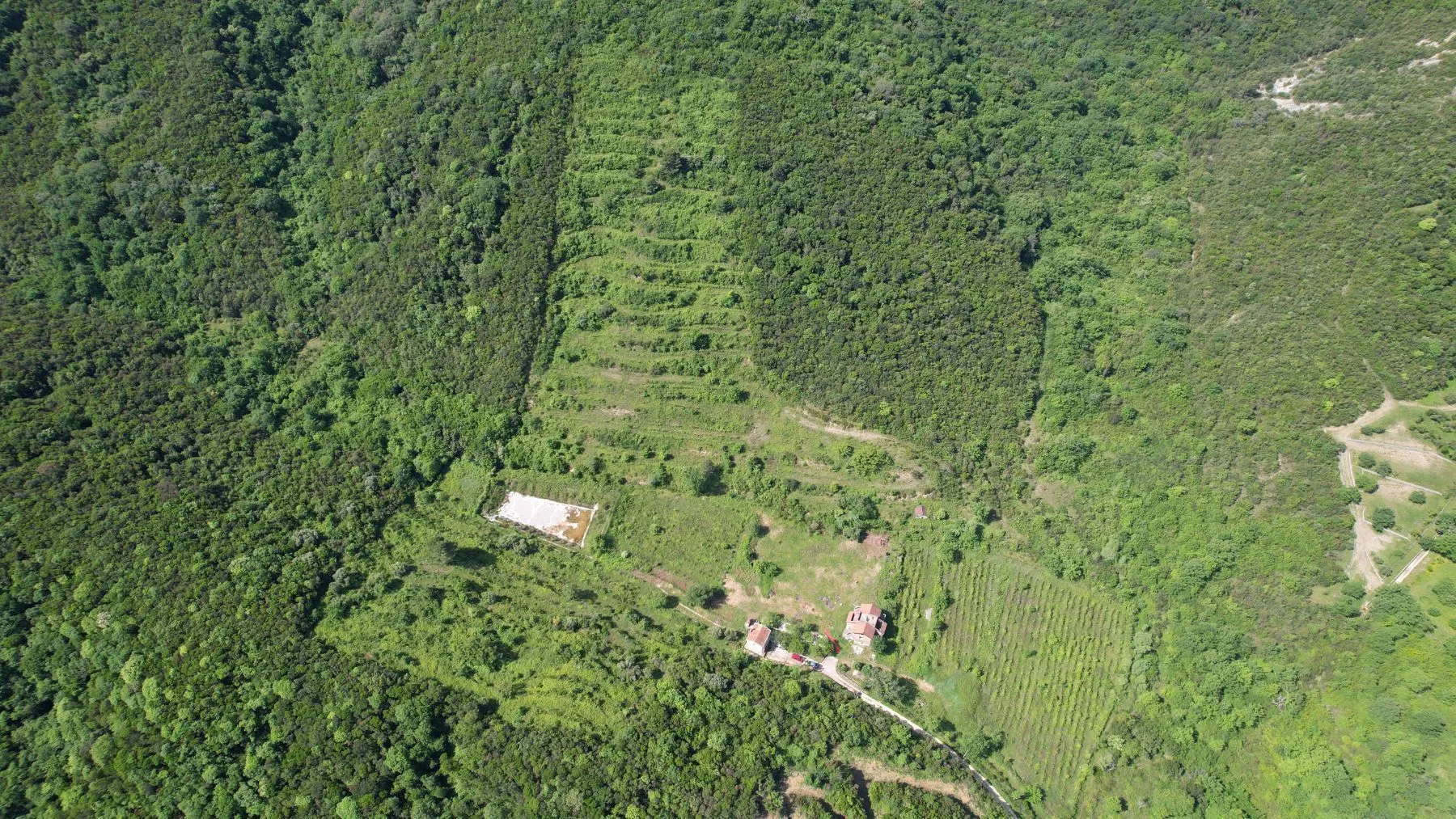 Prodaja, plac, 83000m², Radanovići, Kotor