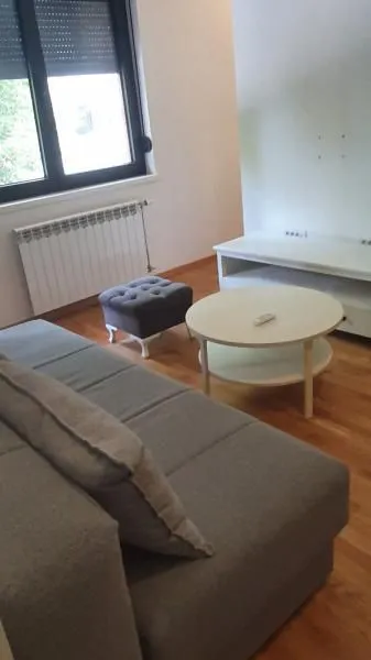 Rent, one bedroom apartment, 45m², Socijalno, Novi Sad Sve Podlokacije