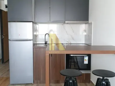 Izdavanje, garsonjera, 25m², Veternik, Novi Sad Sve Podlokacije - image 3