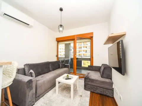 Izdavanje, jednosoban stan, 25m², Master Kvart, Podgorica - image 2
