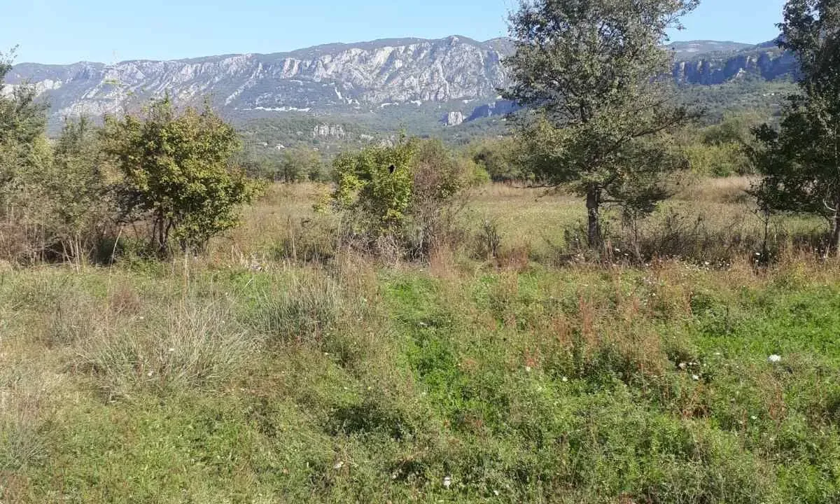 Prodaja, plac, 6274m², Danilovgrad, Crna Gora