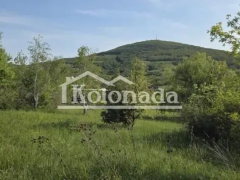 Sale, land lot, 9400m², Nemenikuće, Sopot - image 10