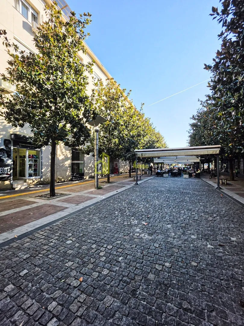 View of a paved street with trees and surrounding buildings.