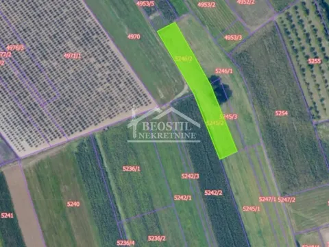 Prodaja, plac, 26375m², Mladenovac, Beograd - image 8