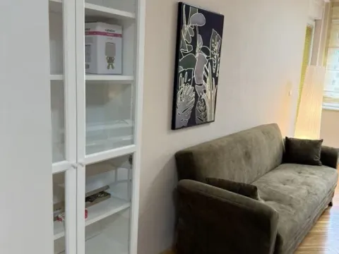 Izdavanje, dvosoban stan, 53m², Grbavica, Novi Sad Sve Podlokacije - image 4