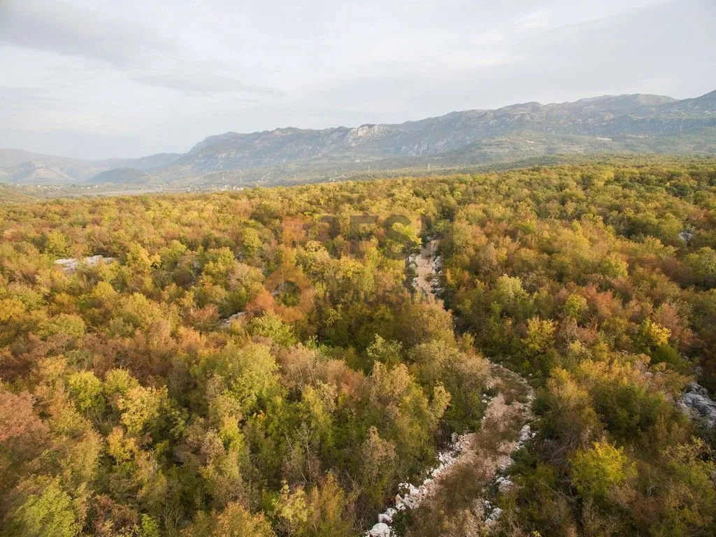 Prodaja, plac, 104804m², Danilovgrad, Crna Gora