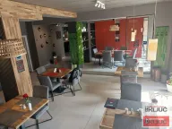 Izdavanje, ugostiteljski objekat, 200m², Sajmište, Novi Sad - image 19