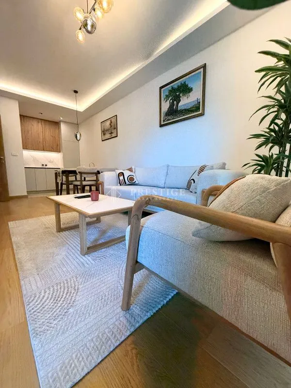 Rent, one bedroom apartment, 47m², City Kvart, Podgorica