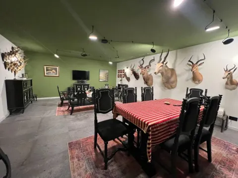 Prodaja, kuća, 215m², Sremska Kamenica, Petrovaradin - image 44