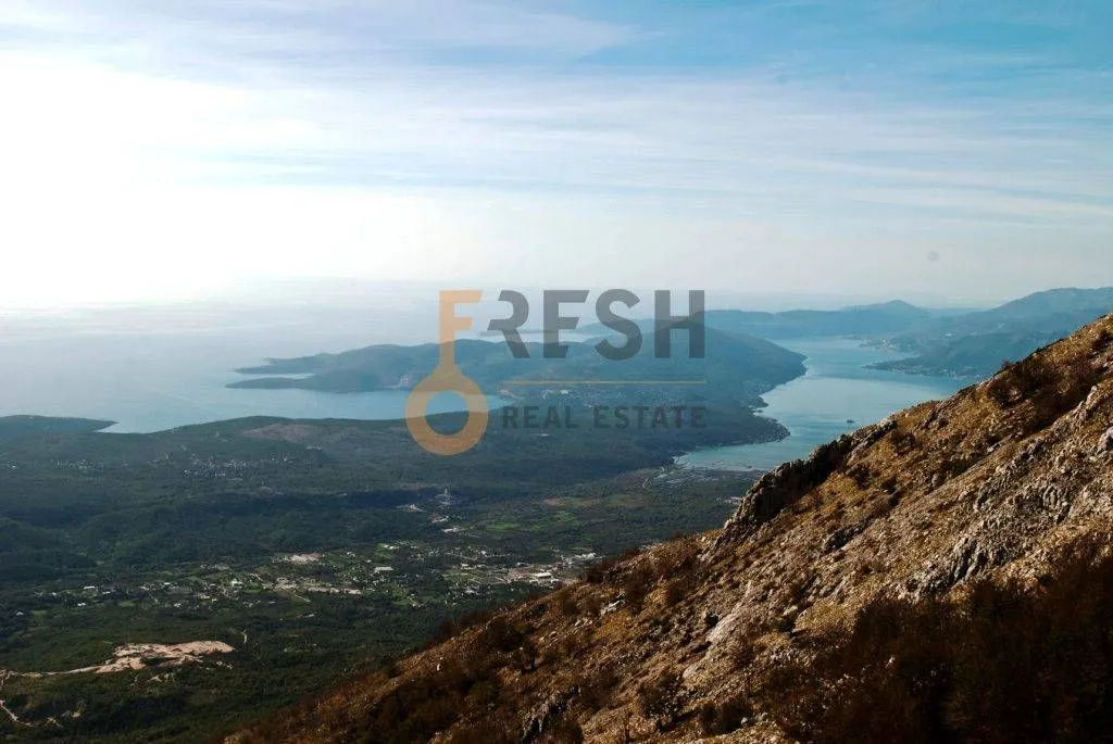 Prodaja, plac, 4307m², Cetinje, Crna Gora