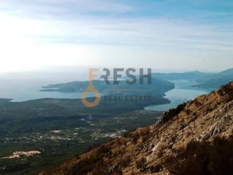 Prodaja, plac, 4307m², Cetinje, Crna Gora - image 12