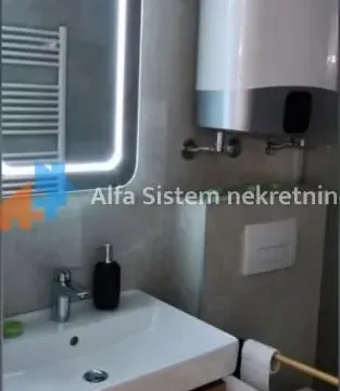 Rent, two bedroom apartment, 46m², Novi Beograd Blok 65, Novi Beograd Sve Podlokacije - image 10