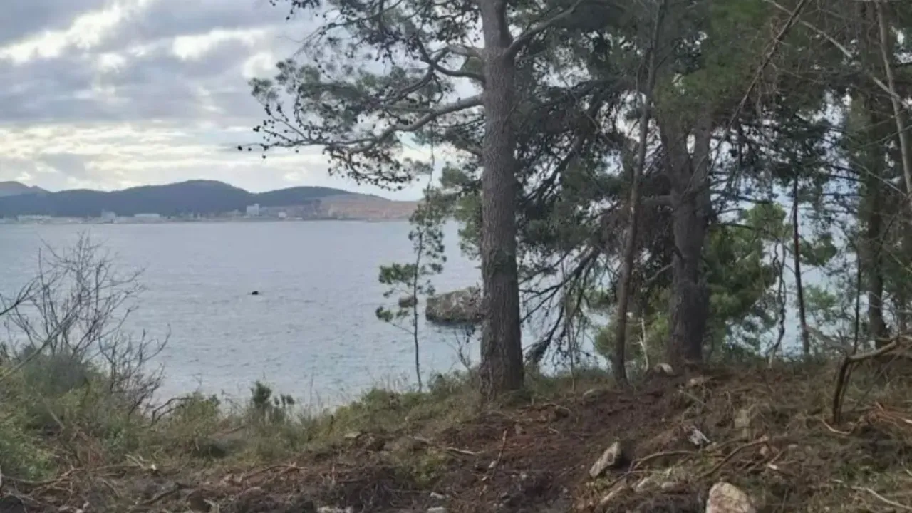 Sale, land lot, 804m², Šušanj, Bar