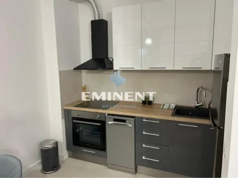 Izdavanje, dvosoban stan, 46m², Stari Grad, Beograd - image 4