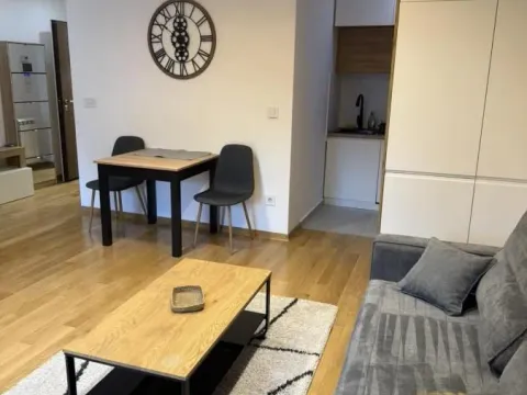 Izdavanje, dvosoban stan, 47m², Južni Bulevar, Vračar Sve Podlokacije - image 3