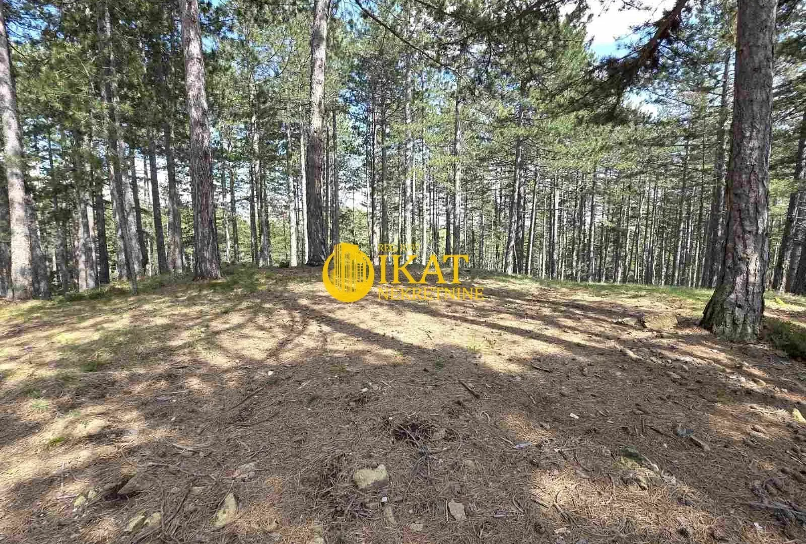 Prodaja, plac, 1272m², Tara, Srbija