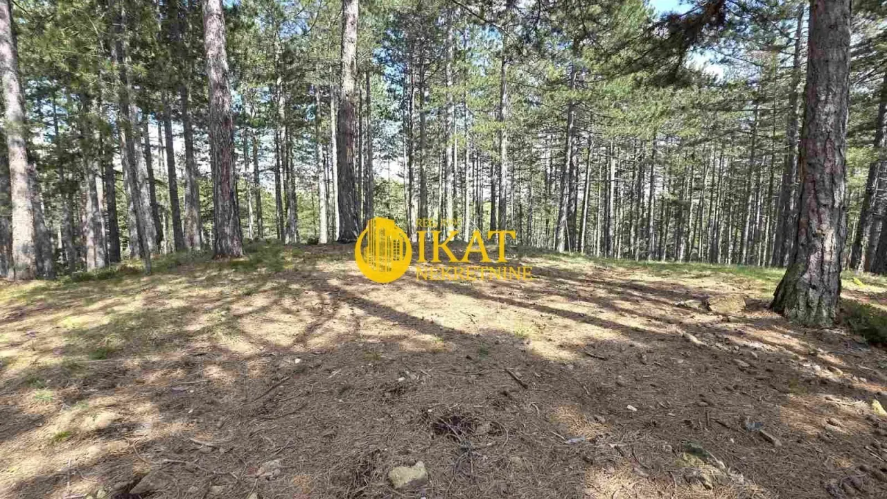 Sale, land lot, 1272m², Tara, Srbija