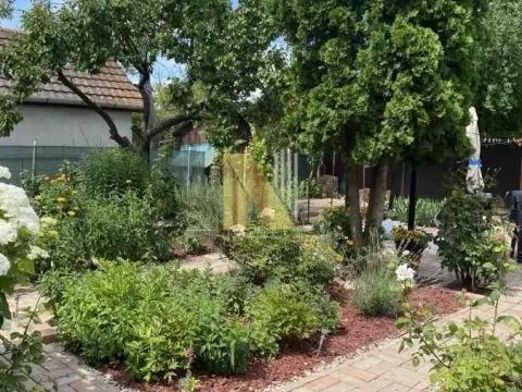 Sale, house, 240m², Aleksandrovo, Subotica - image 24