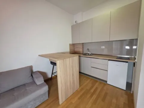 Izdavanje, jednosoban stan, 38m², Velji Vinogradi, Budva - image 7