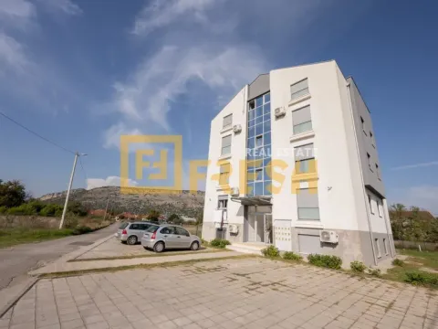 Stan in Tološi