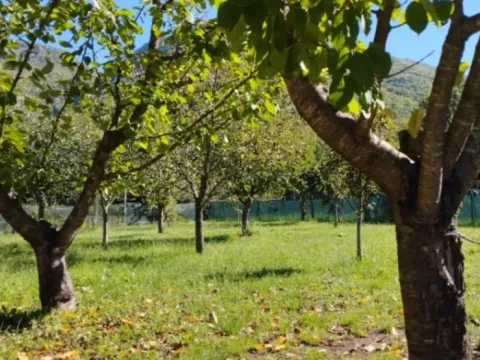 Sale, house, 76m², Kuti, Herceg Novi - image 12