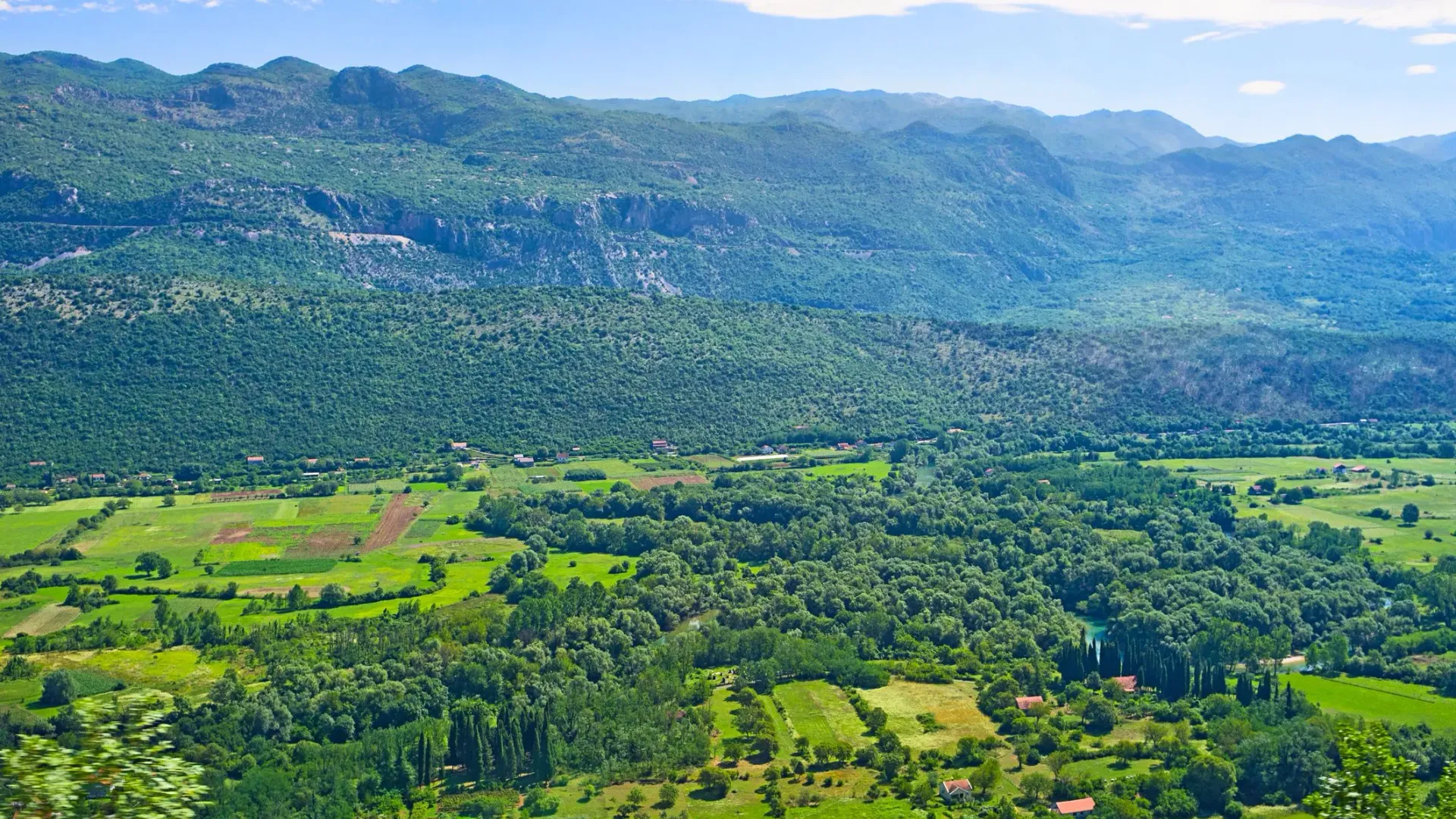 Prodaja, plac, 2500m², Jastreb, Danilovgrad