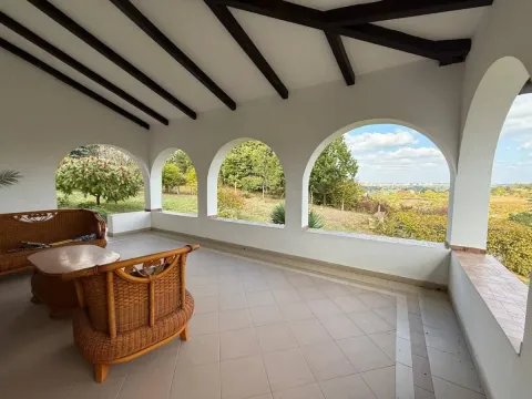 Prodaja, kuća, 204m², Bocke, Petrovaradin - image 38