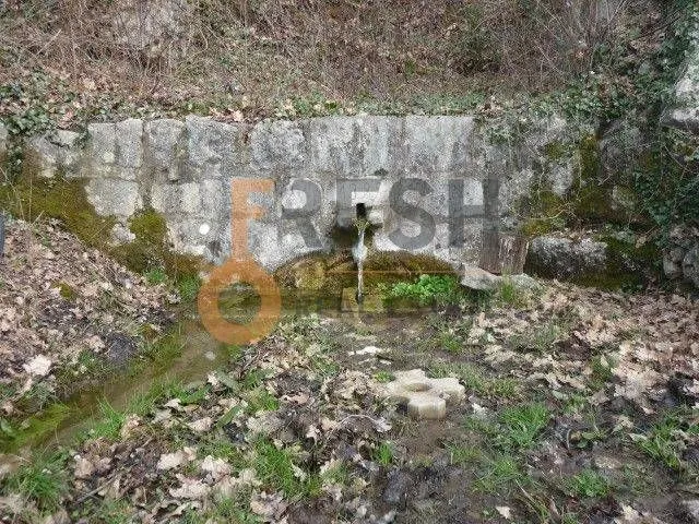 Prodaja, plac, 5428m², Ostalo, Podgorica