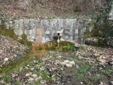 Prodaja, plac, 5428m², Ostalo, Podgorica - image 4