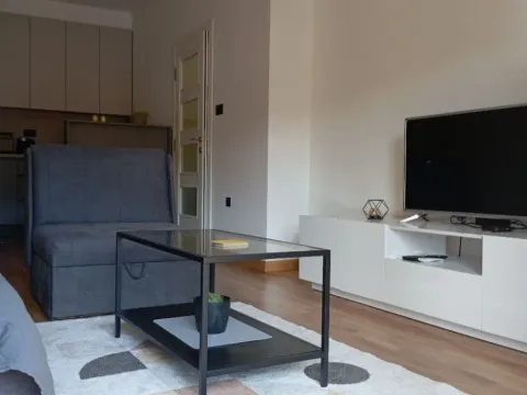 Izdavanje, jednosoban stan, 50m², Centar, Cetinje - image 6