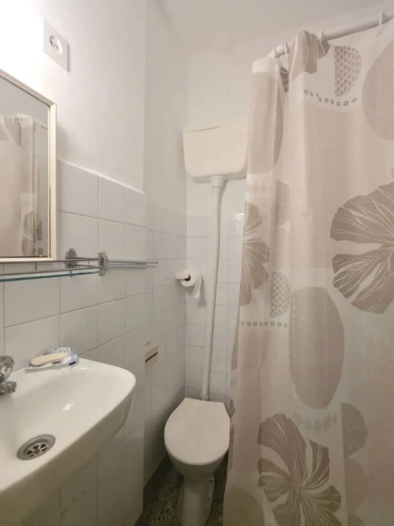 Small bathroom with a sink, toilet, and shower curtain.