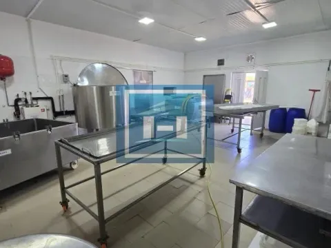 Prodaja, poslovni prostor, 482m², Vladičin Han, Srbija - image 5