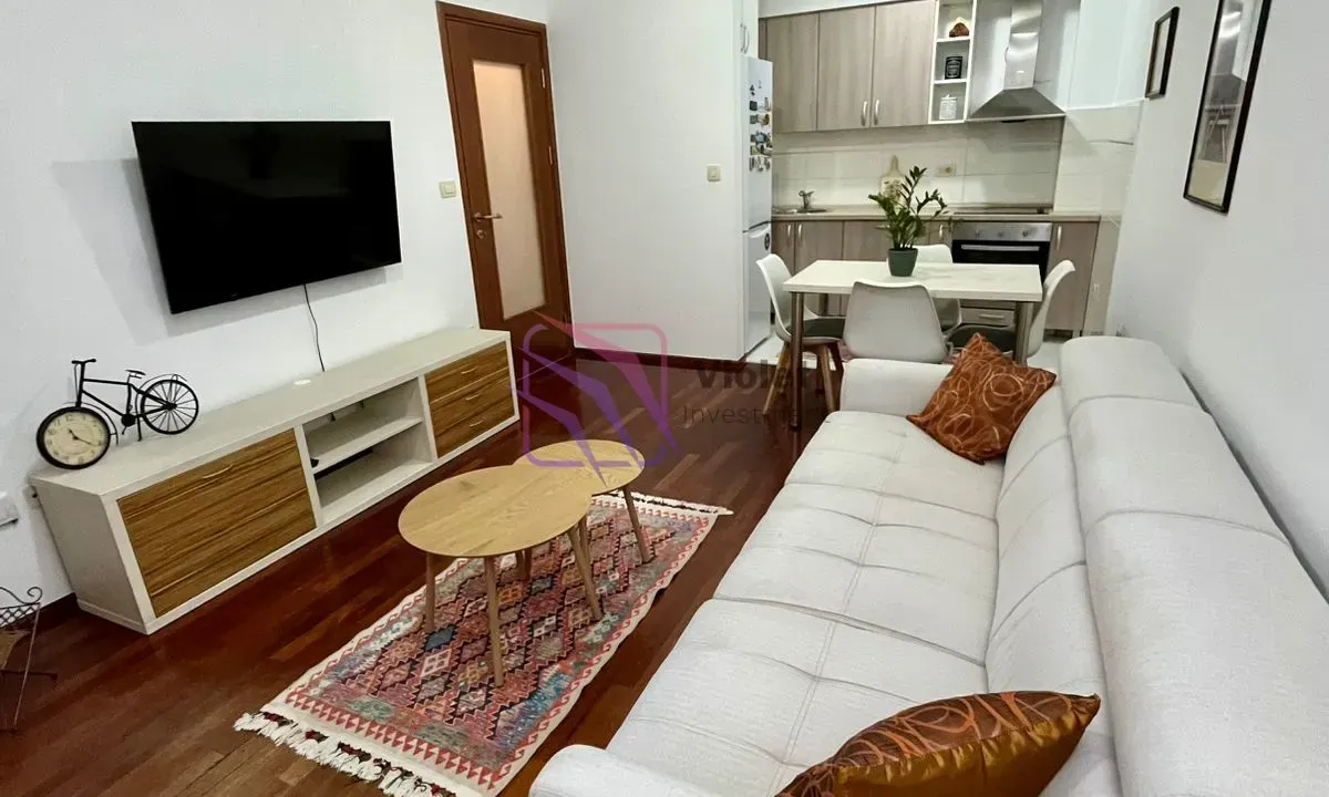 Izdavanje, jednosoban stan, 44m², Stari Aerodrom, Podgorica