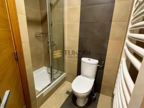 Izdavanje, dvosoban stan, 40m², Stari Grad, Beograd - image 6
