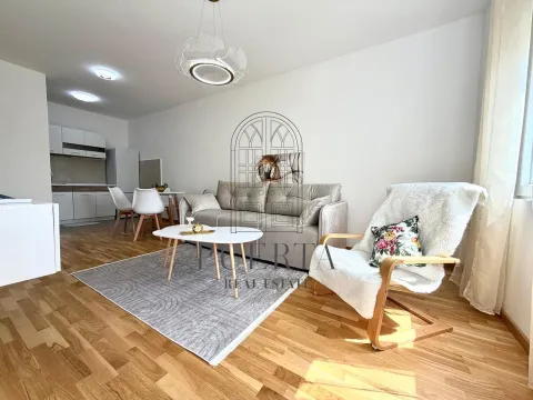 Rent, one bedroom apartment, 43m², Zagorič, Podgorica - image 2
