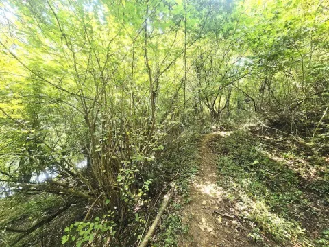 Prodaja, plac, 28558m², Velje Brdo, Podgorica - image 6