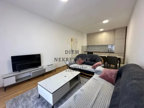 Rent, one bedroom apartment, 48m², Zabjelo, Podgorica - image 9